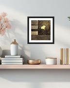 ABSTRACT – MIV - A061