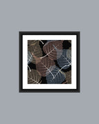 LEAF - MIV0161